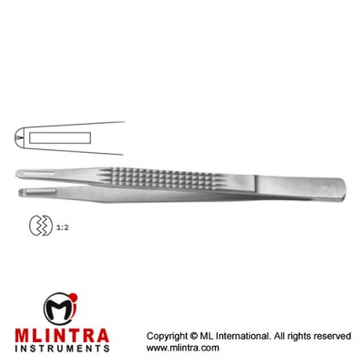Charnley Dissecting Forcep 1 x 2 Teeth - With Platform Stainless Steel, 18 cm - 7"